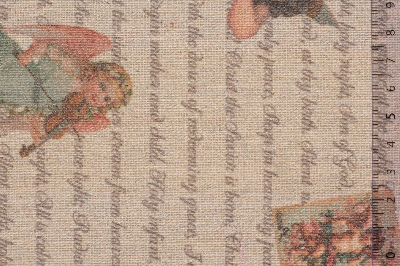 12KABANG000GRAxxxCOT[CABOT ANGELS](GRAY)F